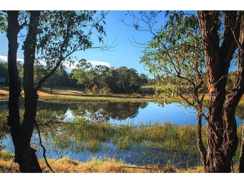 20 Littlewood Road, North Rothbury NSW 2335