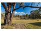 20 Littlewood Road, North Rothbury NSW 2335