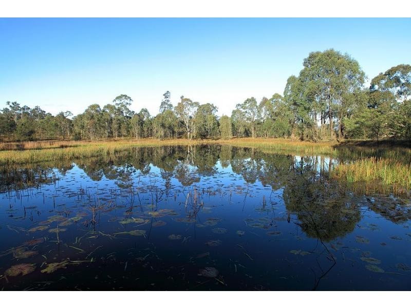 20 Littlewood Road, North Rothbury NSW 2335