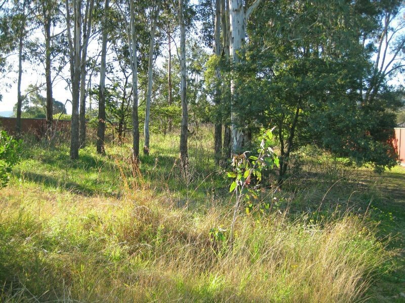 20 Walmsley Street, Millfield NSW 2325