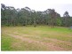 204 Thompsons Road, Milbrodale NSW 2330