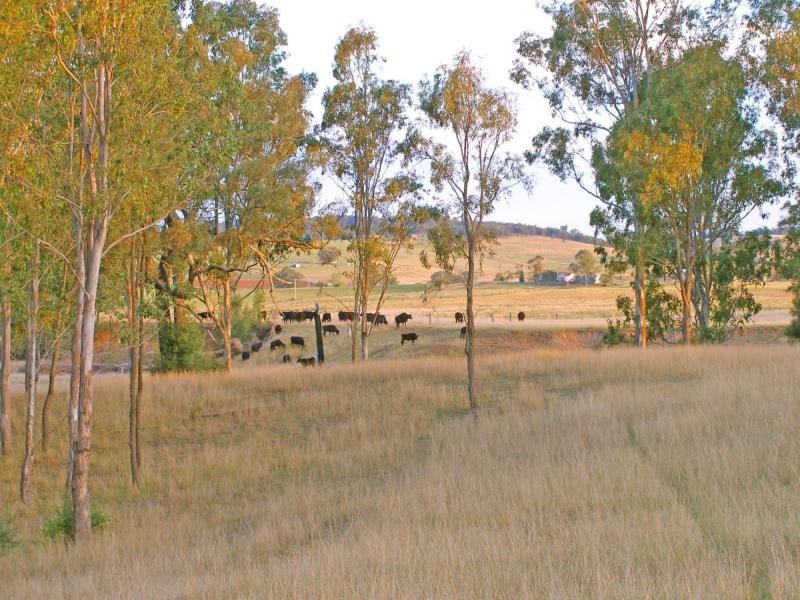 690F Elderslie Road, Elderslie NSW 2335