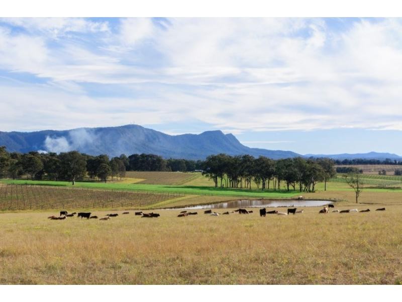 270 Palmers Lane, Pokolbin NSW 2320