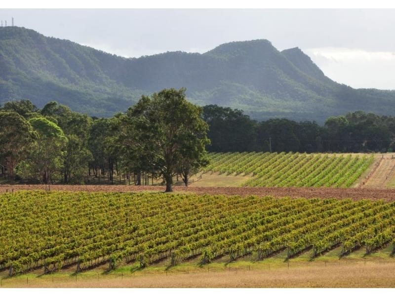 270 Palmers Lane, Pokolbin NSW 2320