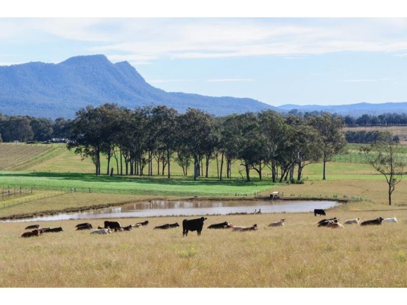 270 Palmers Lane, Pokolbin NSW 2320