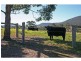 622 Lambs Valley Road, Lambs Valley NSW 2335