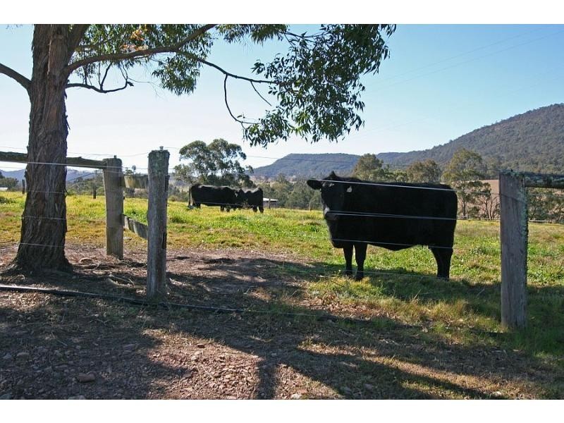 622 Lambs Valley Road, Lambs Valley NSW 2335
