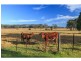 6 Prince Street, Bellbird NSW 2325