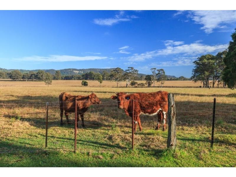 6 Prince Street, Bellbird NSW 2325