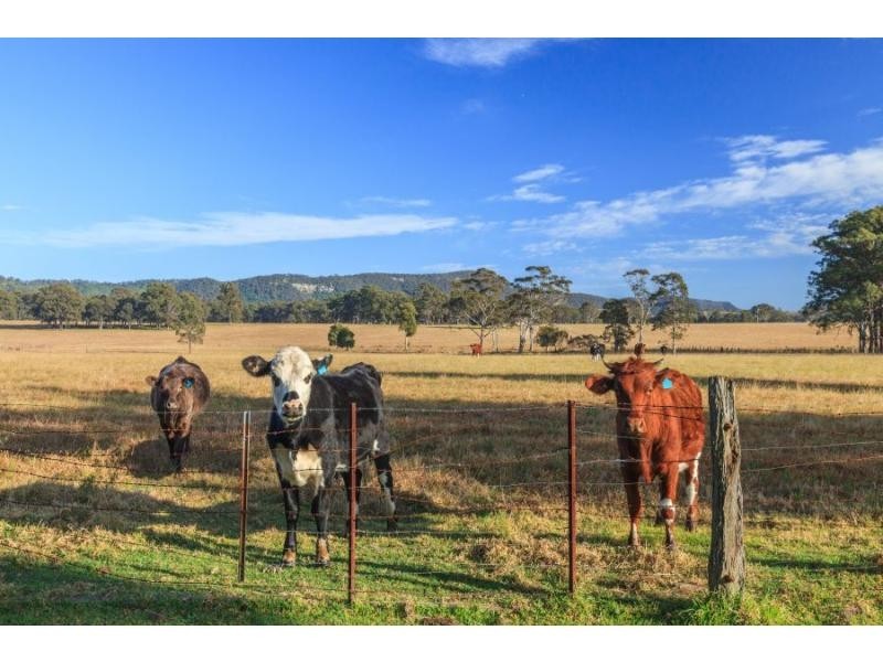 6 Prince Street, Bellbird NSW 2325