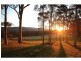 Paxton NSW 2325