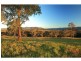 Paxton NSW 2325