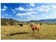 Lambs Valley NSW 2335