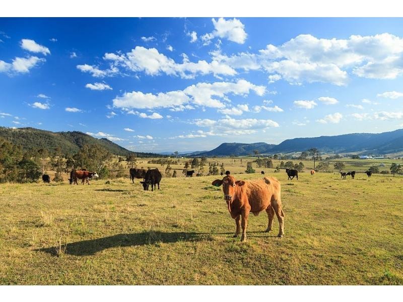 Lambs Valley NSW 2335