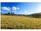 1403 Mount View Road, Mount View NSW 2325
