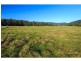 1403 Mount View Road, Mount View NSW 2325