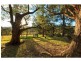 1403 Mount View Road, Mount View NSW 2325