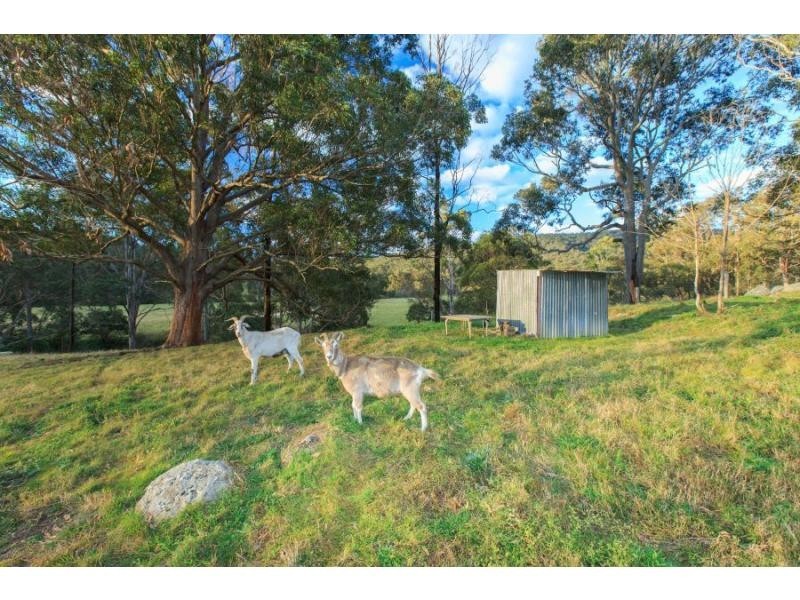 1403 Mount View Road, Mount View NSW 2325