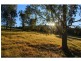 1403 Mount View Road, Mount View NSW 2325