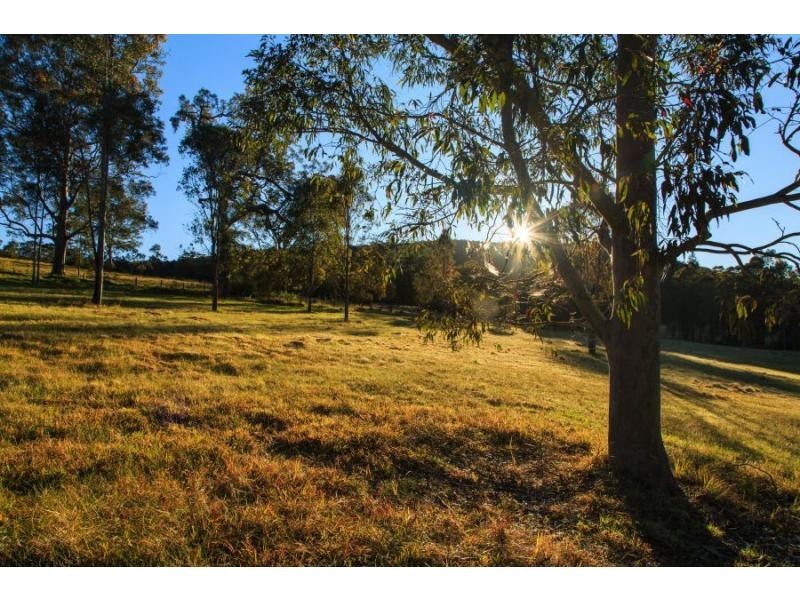 1403 Mount View Road, Mount View NSW 2325