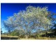 1403 Mount View Road, Mount View NSW 2325