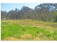 Ellalong NSW 2325