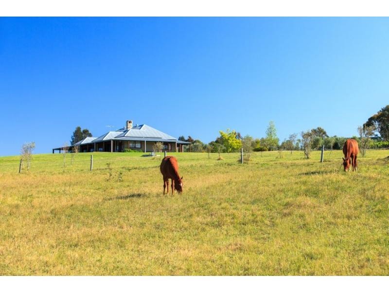 294 O’Connors Road, Pokolbin NSW 2320