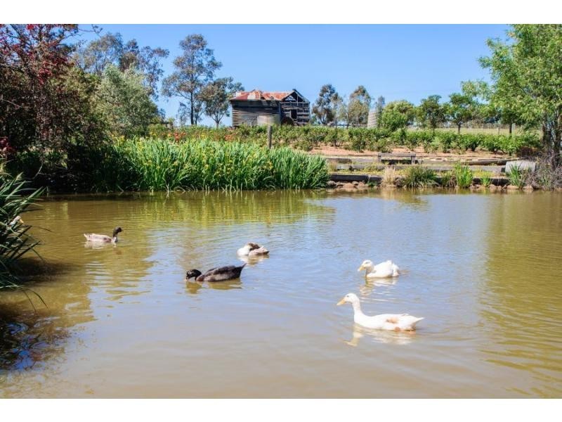 294 O’Connors Road, Pokolbin NSW 2320