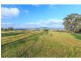 211 Oakey Creek Road, Pokolbin NSW 2320