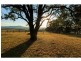211 Oakey Creek Road, Pokolbin NSW 2320
