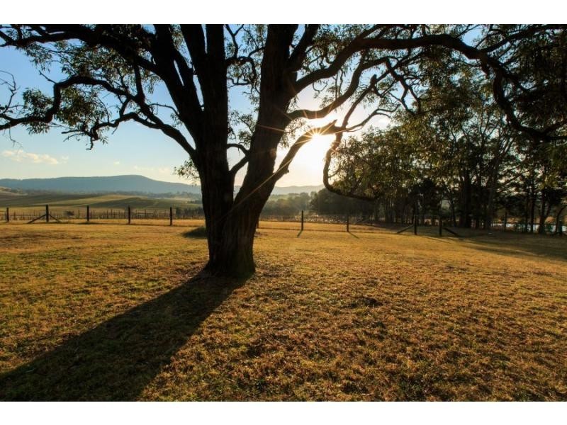 211 Oakey Creek Road, Pokolbin NSW 2320