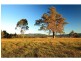 Lot 9 Millfield Road, Paxton NSW 2325