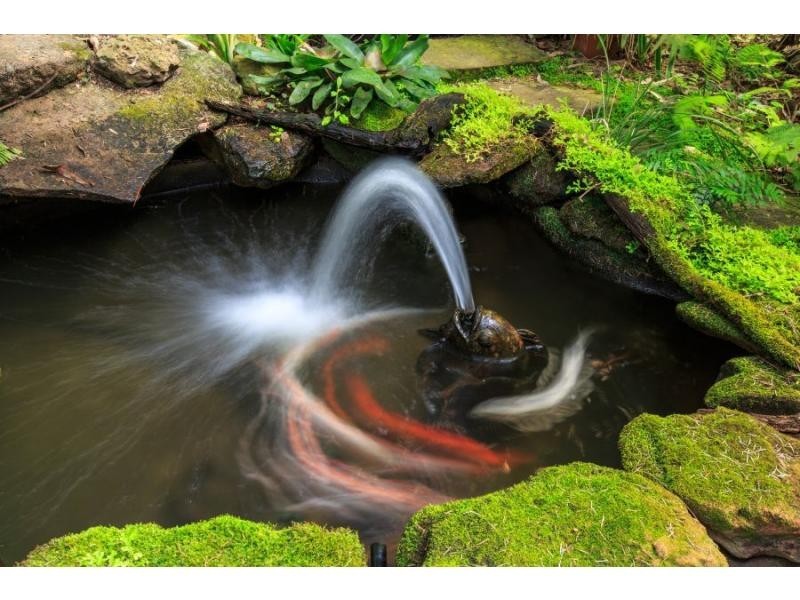 4201 Great North Road, Wollombi NSW 2325