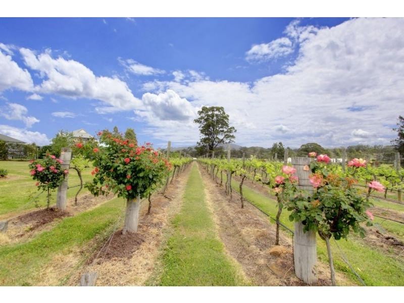 Lot 56 Kelman Estate, Pokolbin NSW 2320