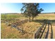 Branxton NSW 2335