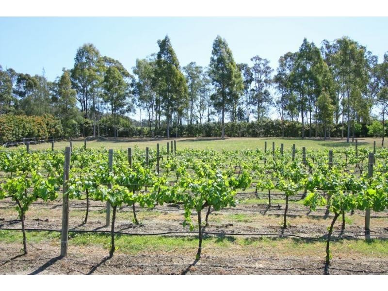 Lot 4 Kelman Estate, Pokolbin NSW 2320