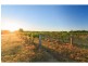 Pokolbin NSW 2320