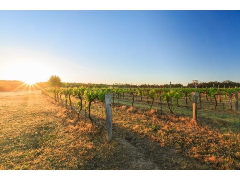 Pokolbin NSW 2320