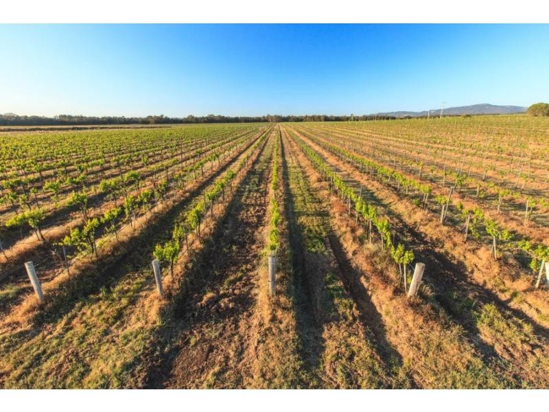 Pokolbin NSW 2320