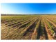 Pokolbin NSW 2320