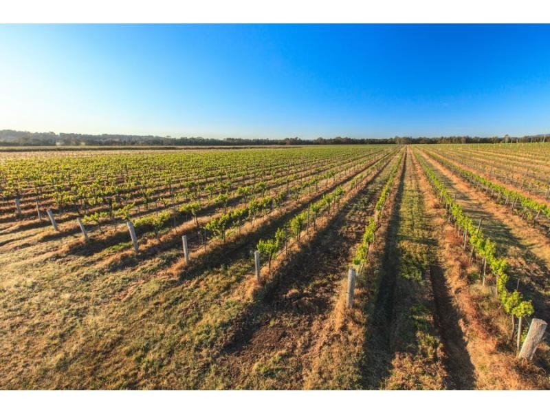 Pokolbin NSW 2320