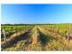 Pokolbin NSW 2320