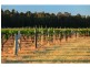 Pokolbin NSW 2320