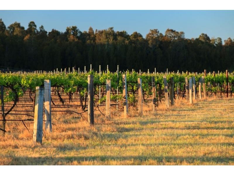 Pokolbin NSW 2320