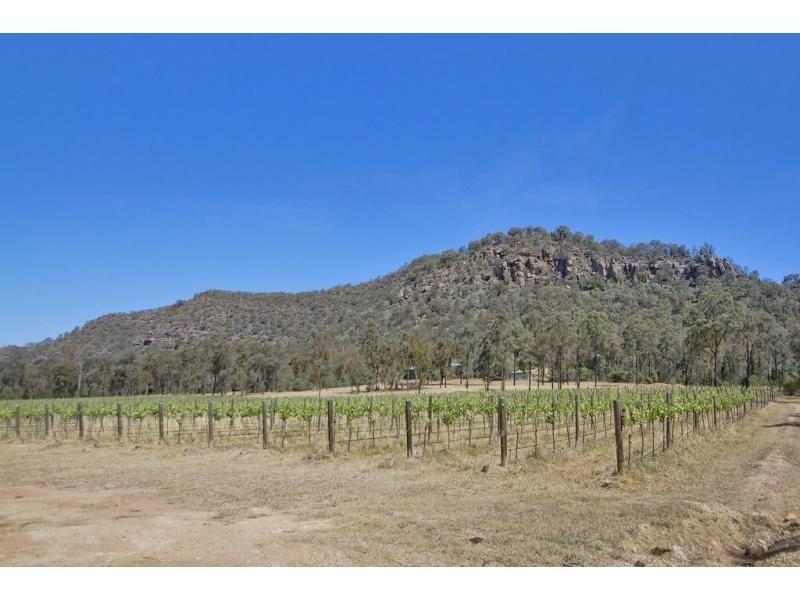 70 Milbrodale Road, Broke NSW 2330