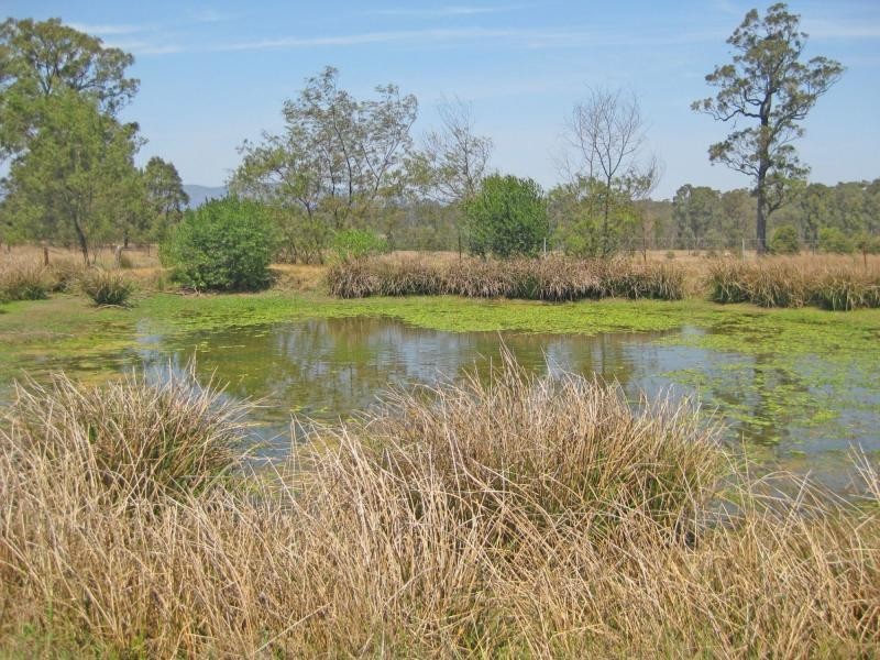 Pokolbin NSW 2320