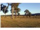 Millview Estate, Davis Street, Millfield NSW 2325