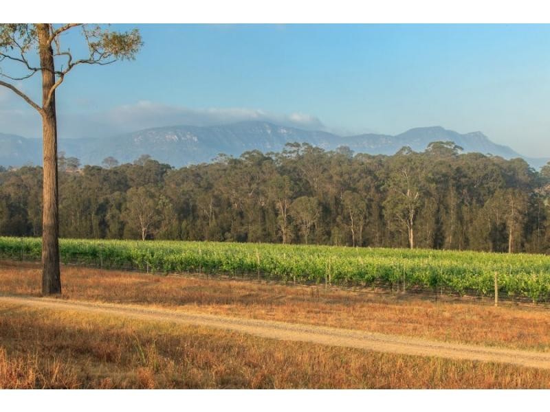 319 Deasys Road, Pokolbin NSW 2320