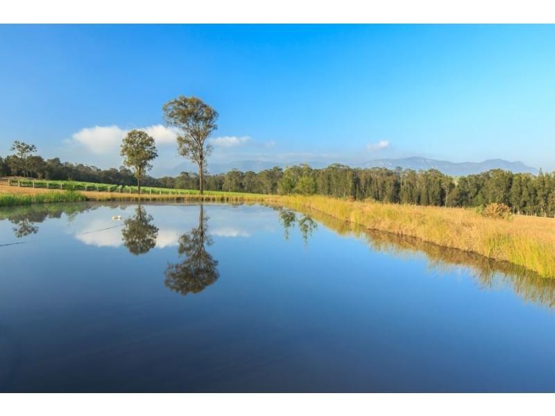 319 Deasys Road, Pokolbin NSW 2320