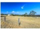 319 Deasys Road, Pokolbin NSW 2320